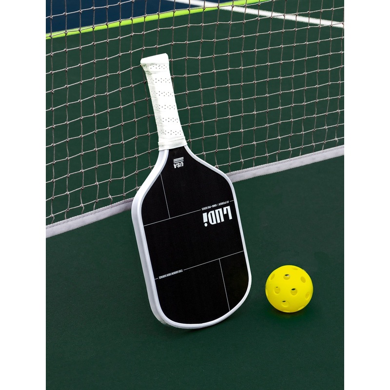 LUDI A1 Pro Pickleball Paddle