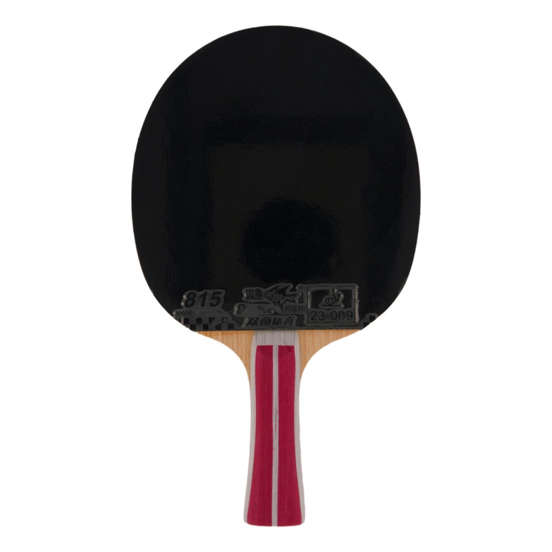 2a+ Table Tennis Racket|ONESIZE