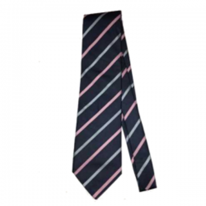 SusMart Poly Stripe Tie