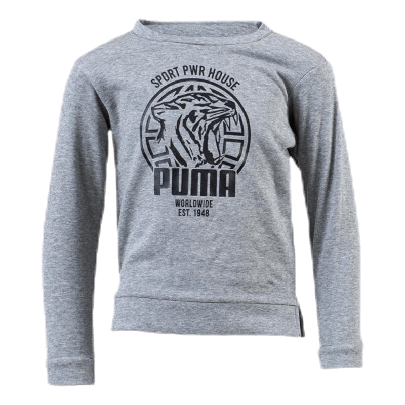 Alpha Graphic Crew Jr Grey|104